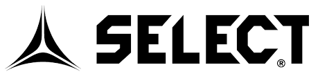 Sponsor logo #3
